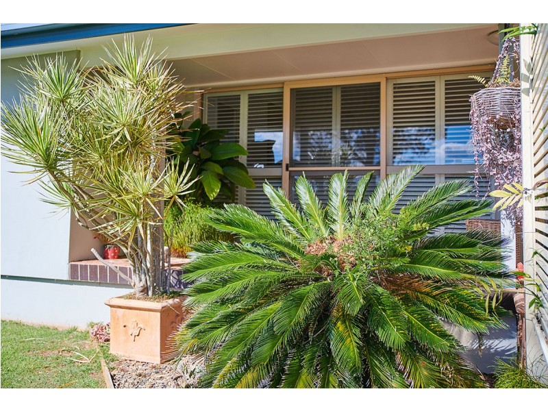 3 Tathra Glen, Ocean Shores NSW 2483