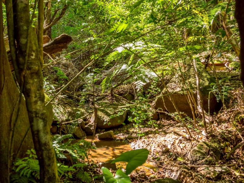 247 Huonbrook Road, Huonbrook NSW 2482