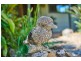 336 Left Bank Rd, Mullumbimby NSW 2482