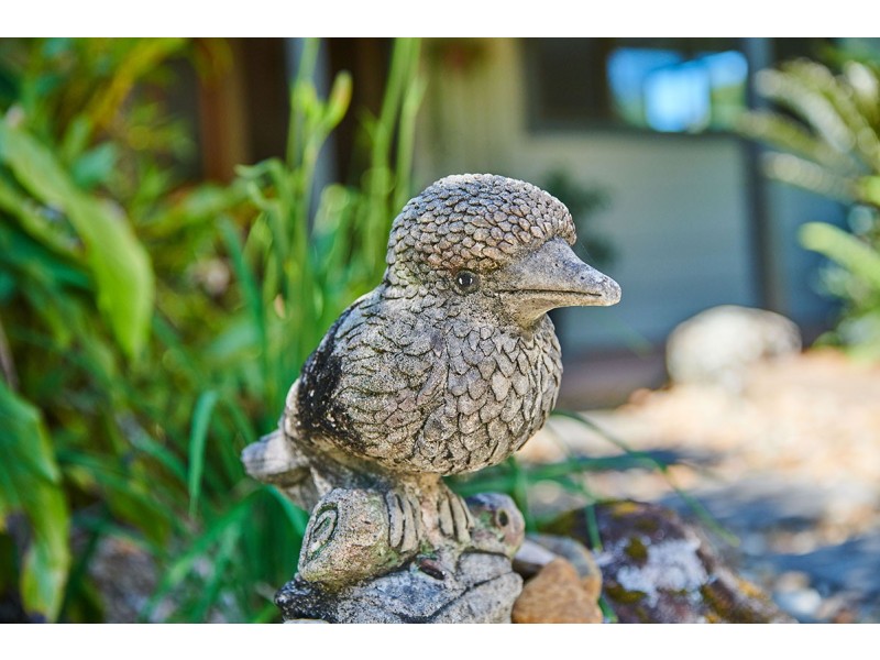336 Left Bank Rd, Mullumbimby NSW 2482