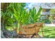 336 Left Bank Rd, Mullumbimby NSW 2482