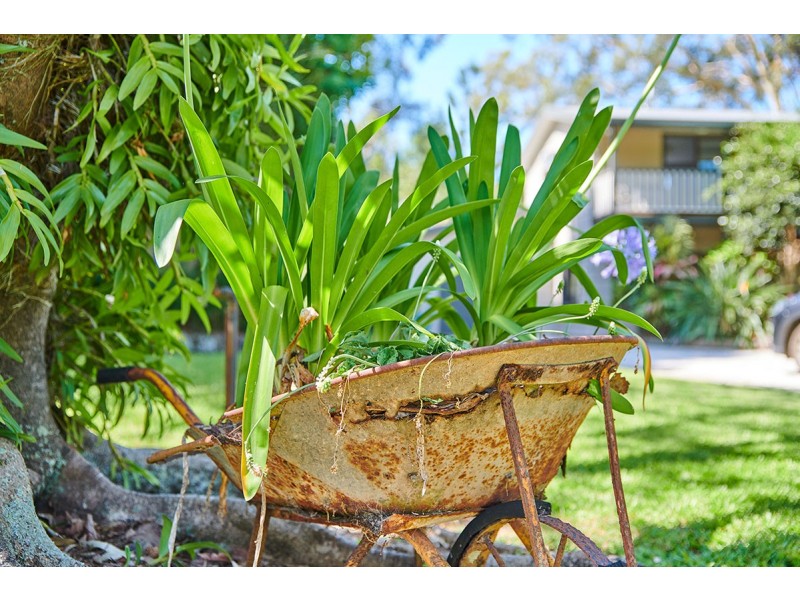 336 Left Bank Rd, Mullumbimby NSW 2482