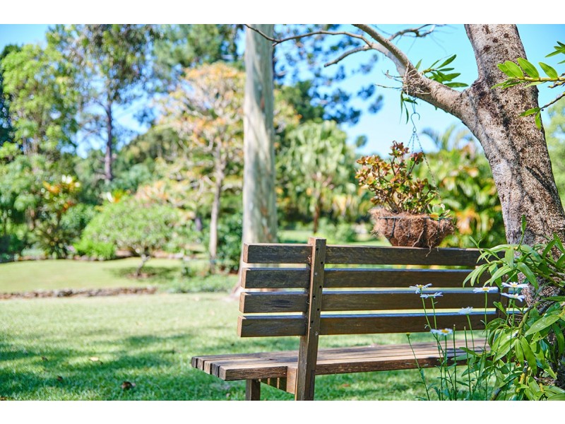 336 Left Bank Rd, Mullumbimby NSW 2482