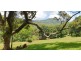 34 Settlement Road, Mullumbimby NSW 2482