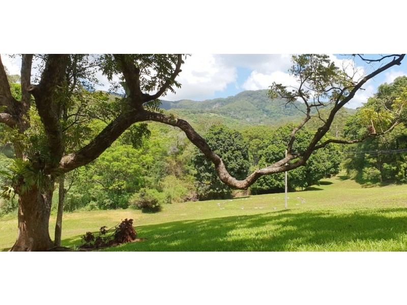 34 Settlement Road, Mullumbimby NSW 2482