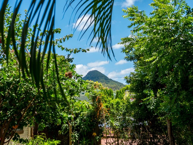 4 Avocado Court, Mullumbimby NSW 2482