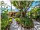 54 New City Road, Mullumbimby NSW 2482