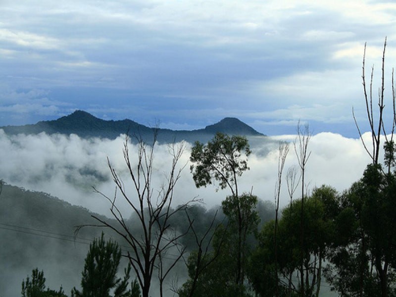 191 Frasers Road, Mullumbimby NSW 2482