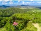 191 Frasers Road, Mullumbimby NSW 2482