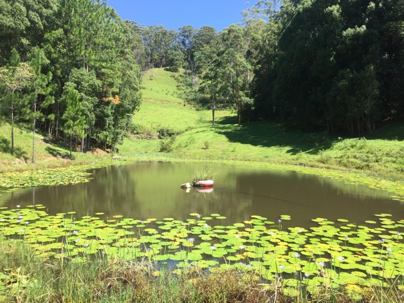 1141 Upper Main Arm Road, Main Arm NSW 2482