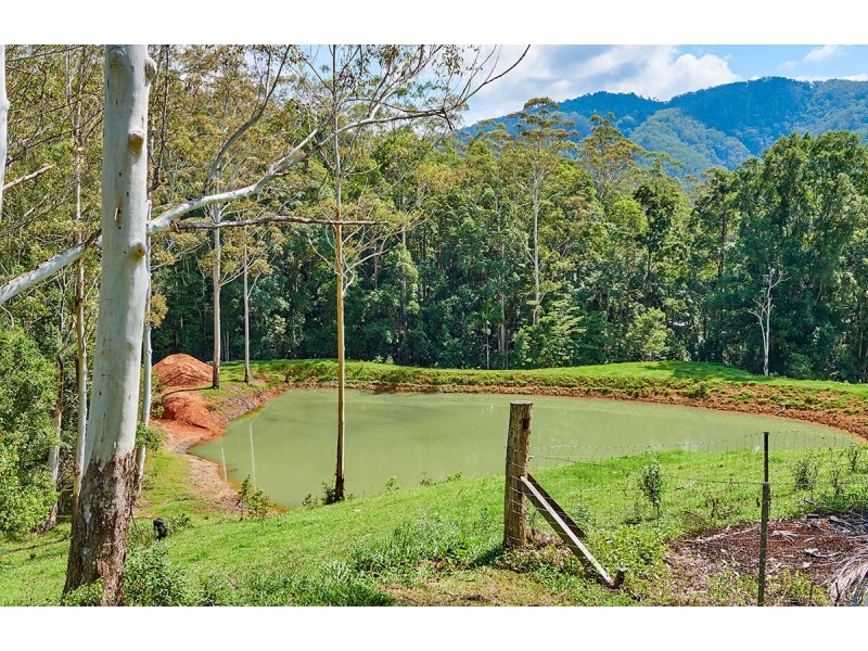 1141 Upper Main Arm Road, Main Arm NSW 2482