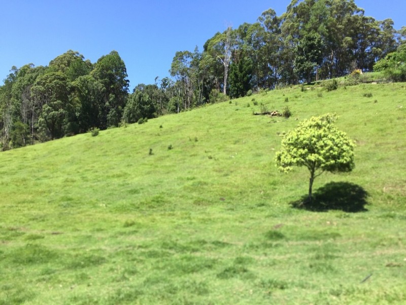 1141 Upper Main Arm Road, Main Arm NSW 2482