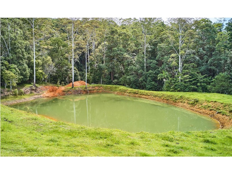 1141 Upper Main Arm Road, Main Arm NSW 2482