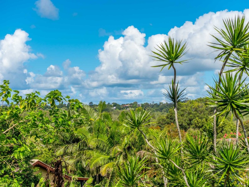 2 Woggoon Terrace, Ocean Shores NSW 2483