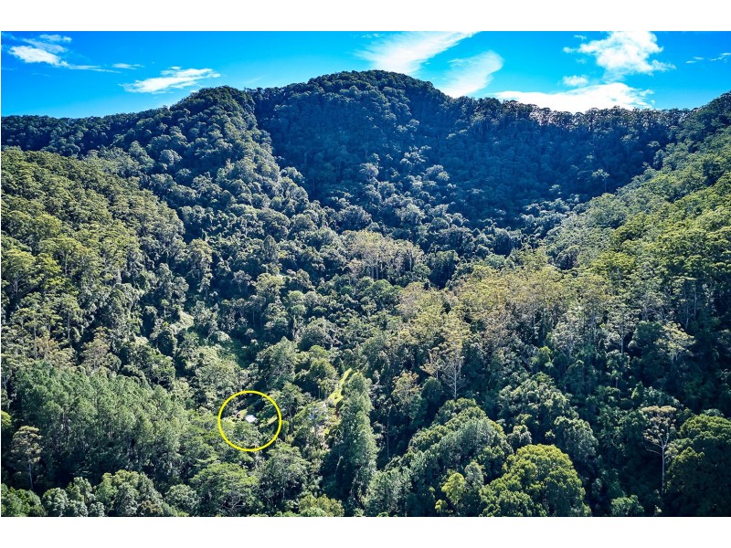 Mullumbimby NSW 2482