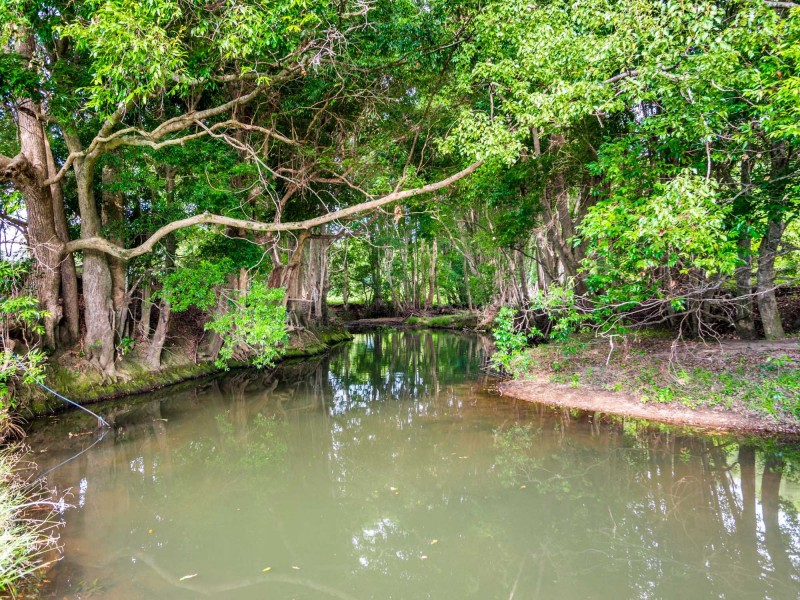 448 Left Bank Rd, Mullumbimby NSW 2482