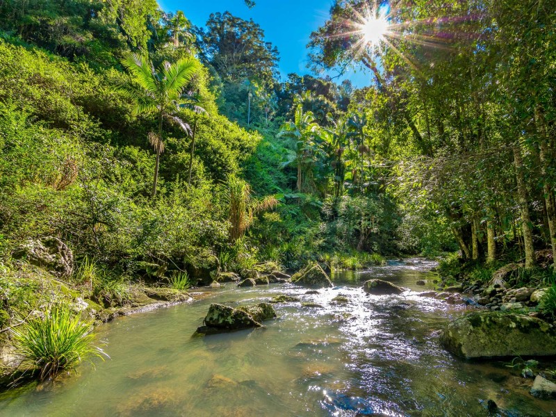 111 Upper Wilsons Creek Road, Upper Wilsons Creek NSW 2482