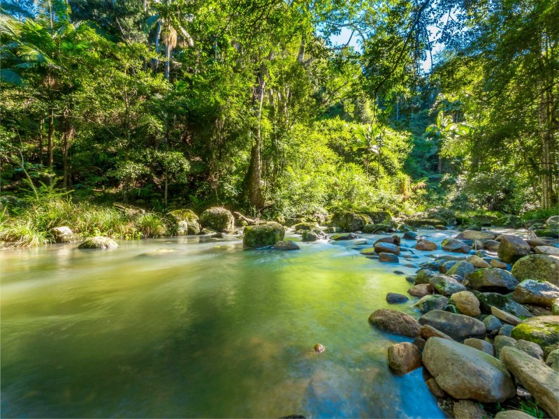 111 Upper Wilsons Creek Road, Upper Wilsons Creek NSW 2482