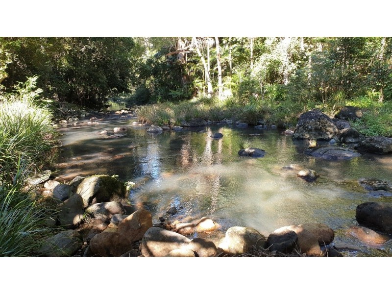 111 Upper Wilsons Creek Road, Upper Wilsons Creek NSW 2482