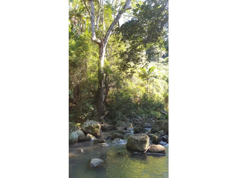 111 Upper Wilsons Creek Road, Upper Wilsons Creek NSW 2482