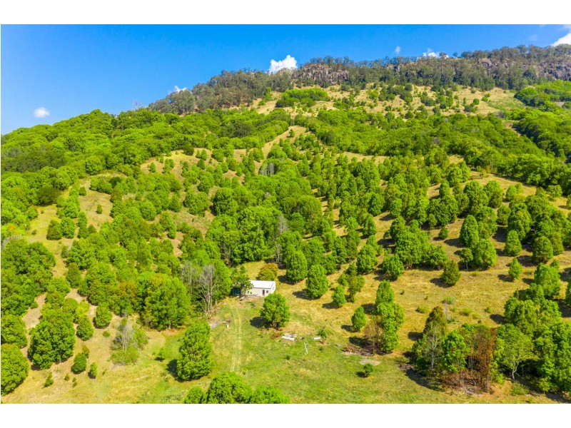 551 Left Bank Rd, Mullumbimby NSW 2482