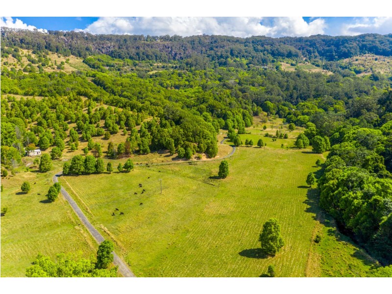 551 Left Bank Rd, Mullumbimby NSW 2482