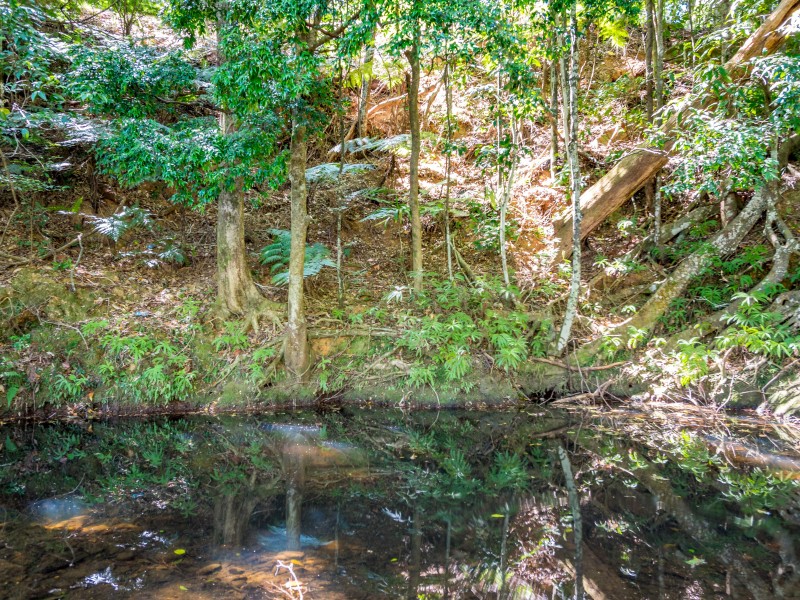 551 Left Bank Rd, Mullumbimby NSW 2482