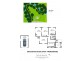 28 Coolamon Scenic Drive, Mullumbimby NSW 2482 Floorplan