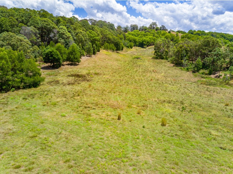 Future Lots Tuckeroo Ave, Mullumbimby NSW 2482