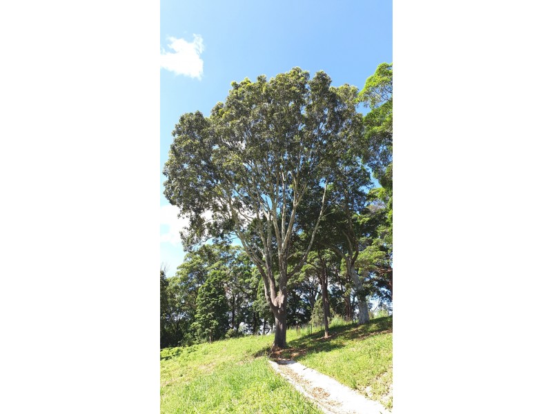 140 Lorikeet Lane, Mullumbimby NSW 2482