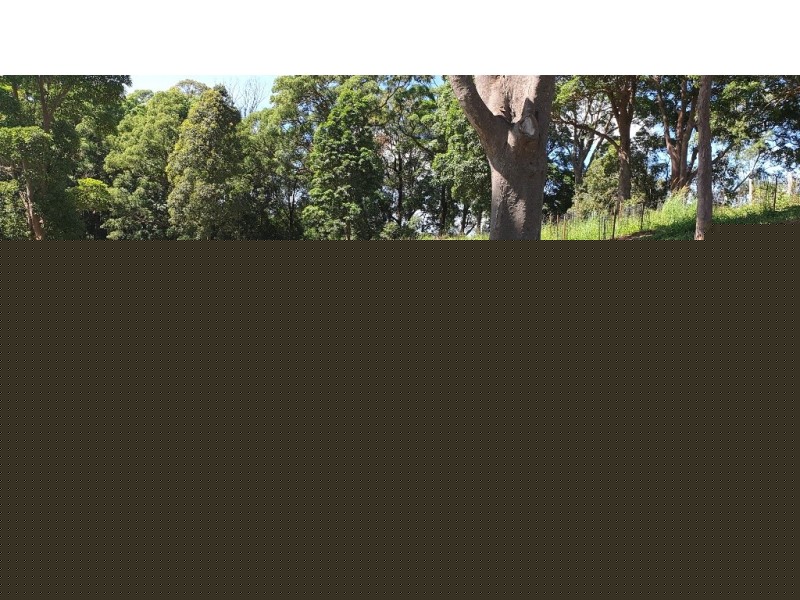 140 Lorikeet Lane, Mullumbimby NSW 2482