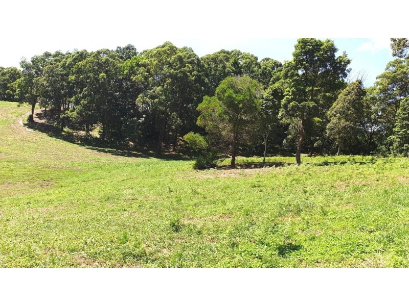 140 Lorikeet Lane, Mullumbimby NSW 2482