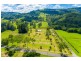 286 Main Arm Rd, Mullumbimby NSW 2482