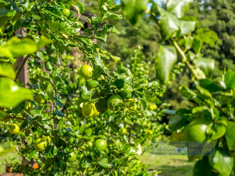 461 Repentance Creek Road, Goonengerry NSW 2482