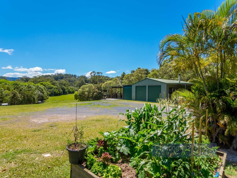 130 Left Bank Road, Mullumbimby NSW 2482