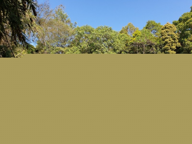 11 Brushbox Drive, Mullumbimby Creek NSW 2482