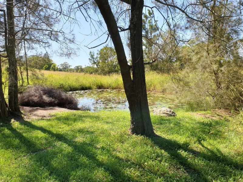 11 Brushbox Drive, Mullumbimby Creek NSW 2482