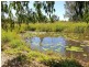 11 Brushbox Drive, Mullumbimby Creek NSW 2482