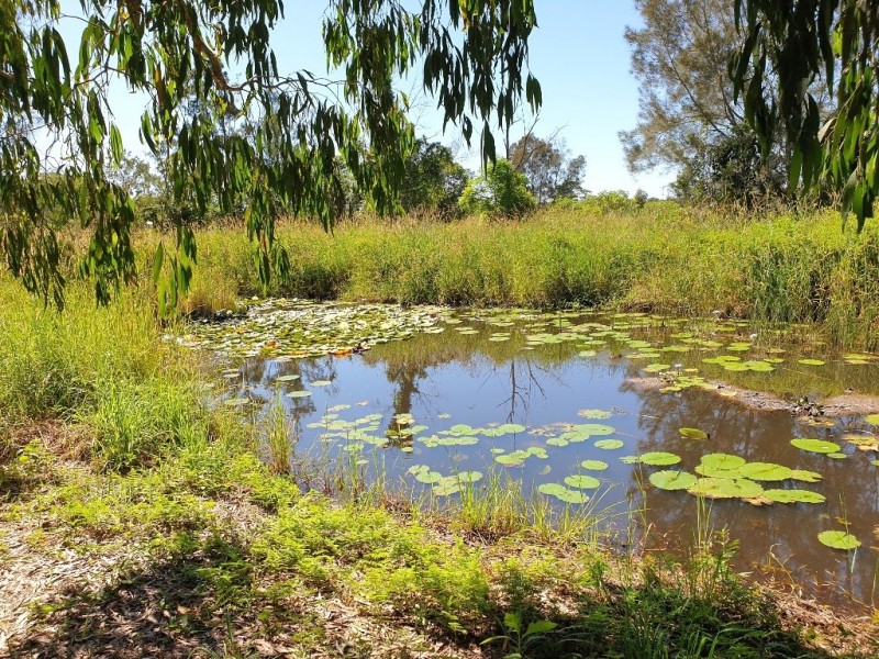 11 Brushbox Drive, Mullumbimby Creek NSW 2482