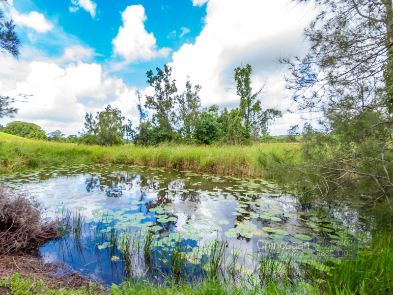 11 Brushbox Drive, Mullumbimby Creek NSW 2482