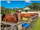 5824 Tweed Valley Way, Mooball NSW 2483