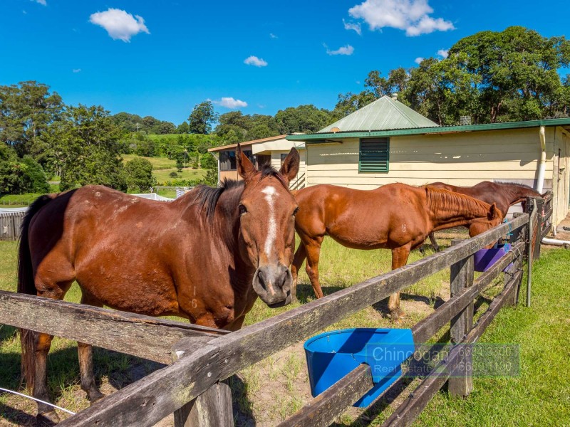 5824 Tweed Valley Way, Mooball NSW 2483