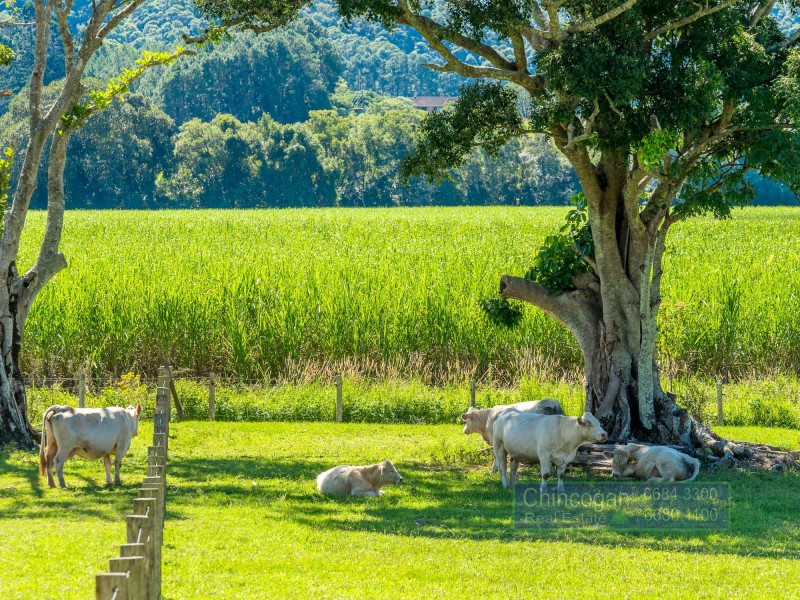 5824 Tweed Valley Way, Mooball NSW 2483