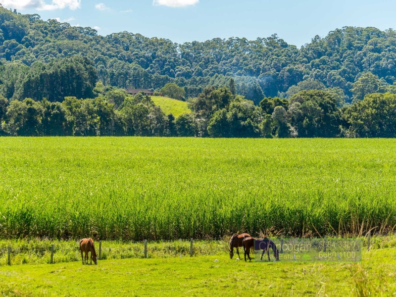 5824 Tweed Valley Way, Mooball NSW 2483