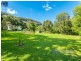 841 Wilsons Creek Road, Wilsons Creek NSW 2482