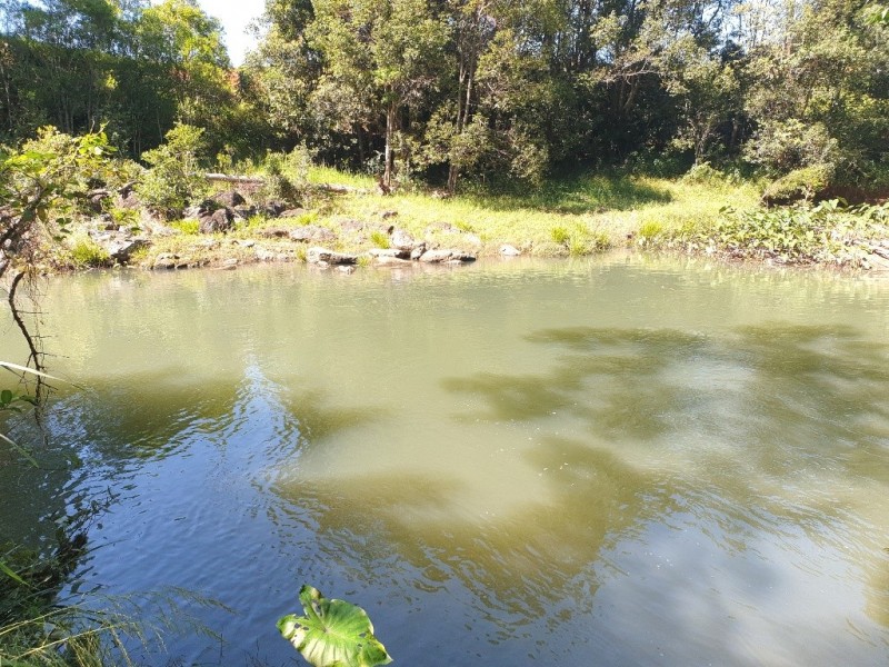 841 Wilsons Creek Road, Wilsons Creek NSW 2482