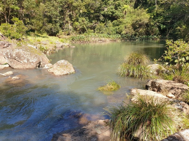 841 Wilsons Creek Road, Wilsons Creek NSW 2482