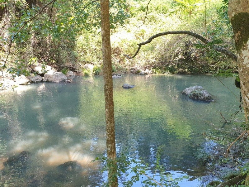 841 Wilsons Creek Road, Wilsons Creek NSW 2482