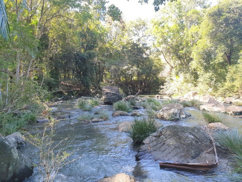 841 Wilsons Creek Road, Wilsons Creek NSW 2482