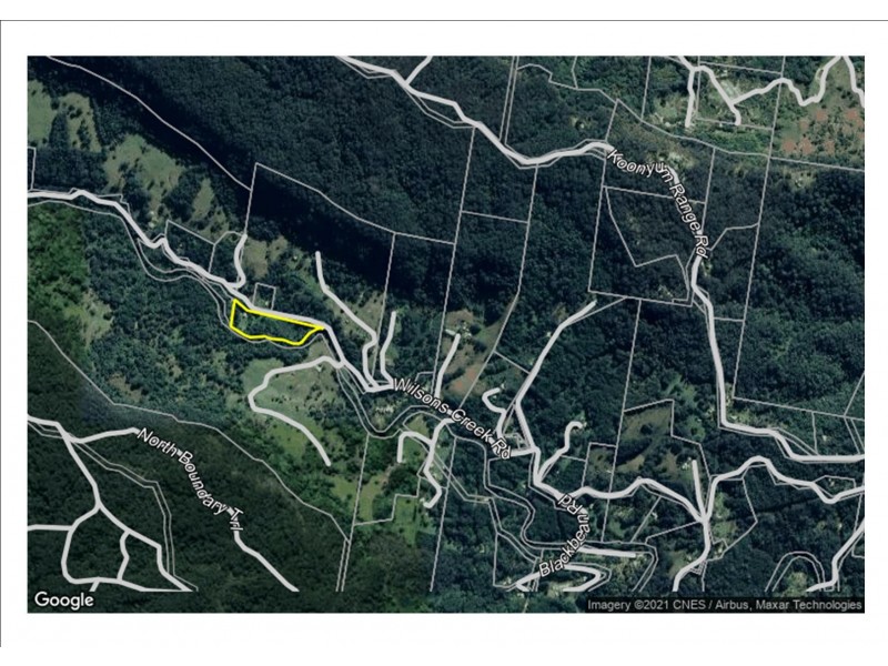 841 Wilsons Creek Road, Wilsons Creek NSW 2482